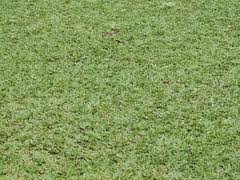 images_062